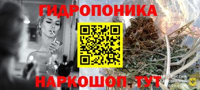 дживик Ставрополь