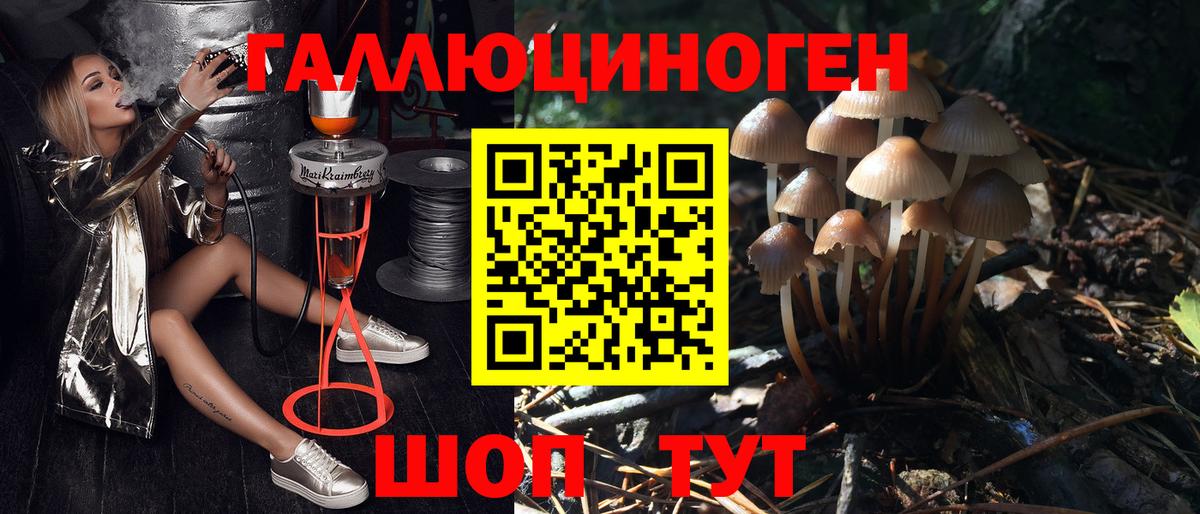 Галлюциногенные грибы ЛСД  Вход с VPN  наркота  Ялуторовск  Псилоцибиновые грибы MAGIC MUSHROOMS 